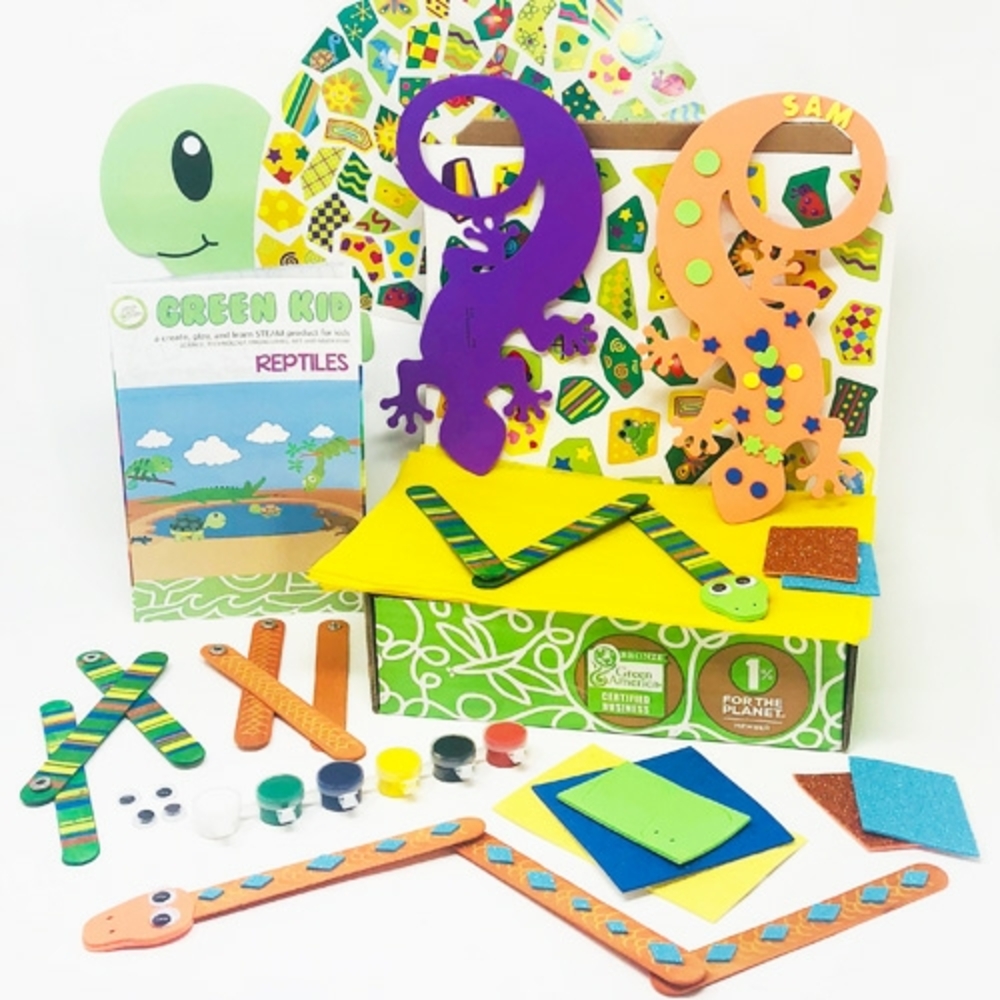 Reptile Craft Kit - Multicolor